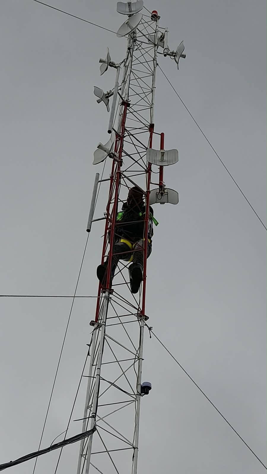 Service Image