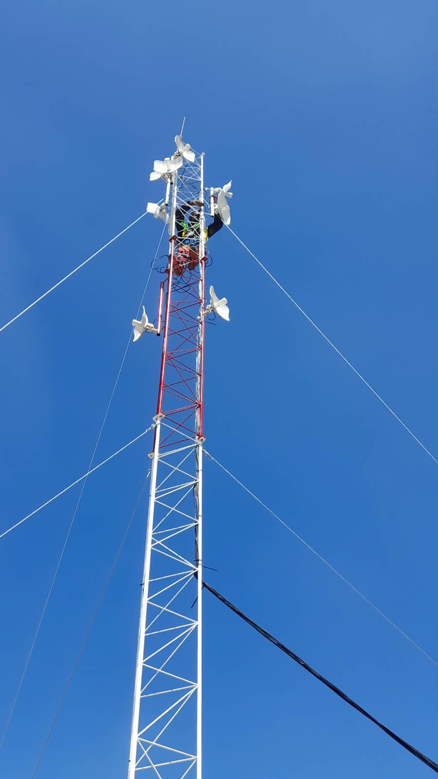 Service Image